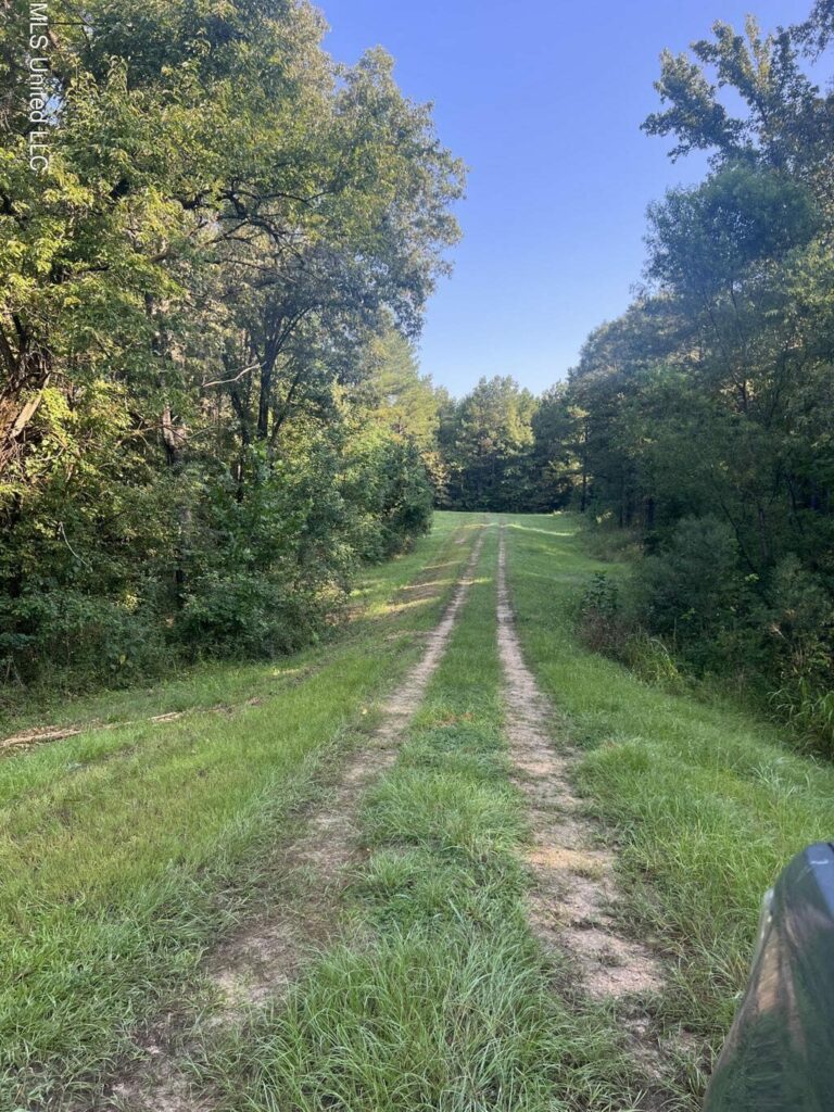 447 Acres on Ratliff Road Near Raymond, MS