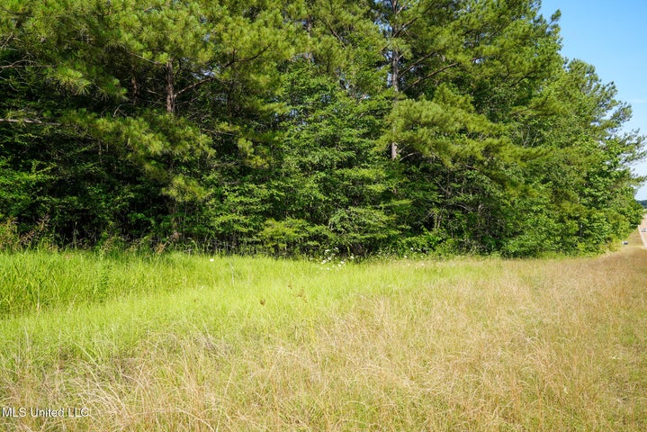 2.5 +/- acre lot MS Highway 27 Utica, MS 39175
