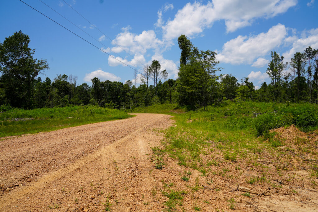  104+/- acres Pleasant Ridge Road, Lexington, MS 39095
