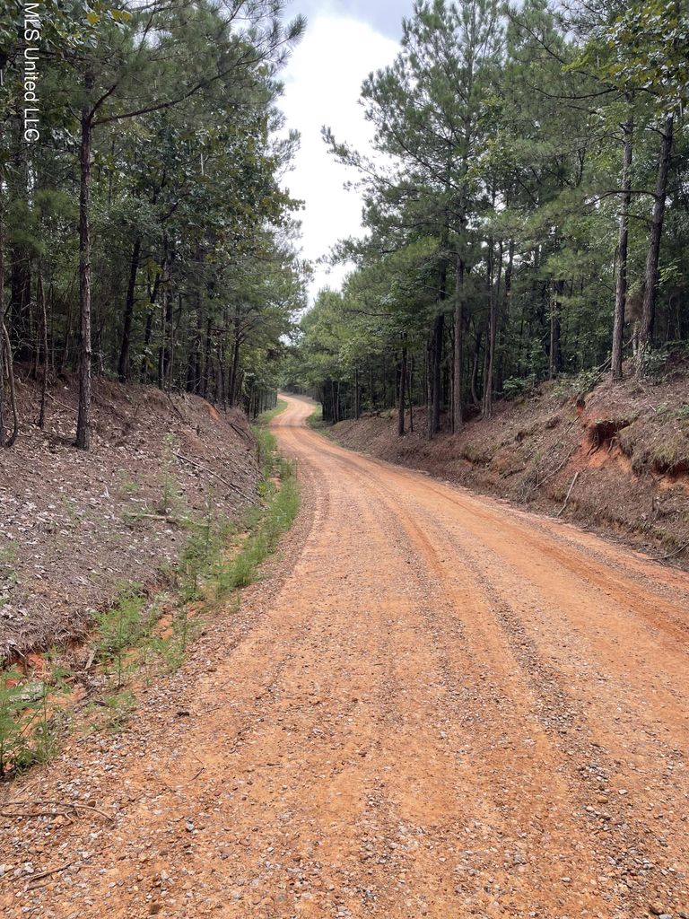 43 +/- acres Carthage, MS