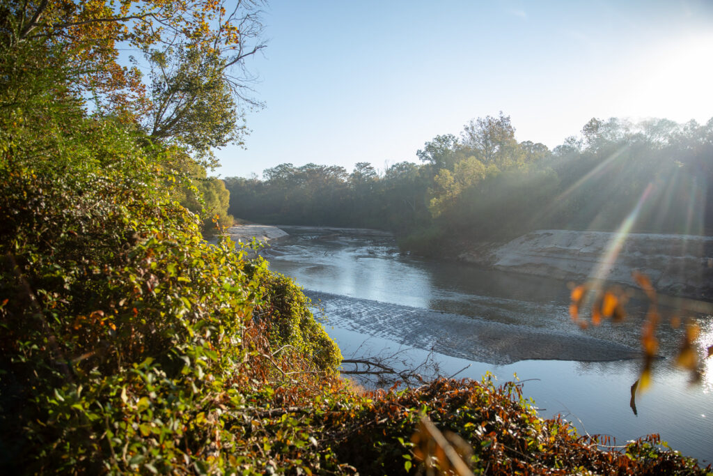 1,060 +/- acres Vaughan, MS