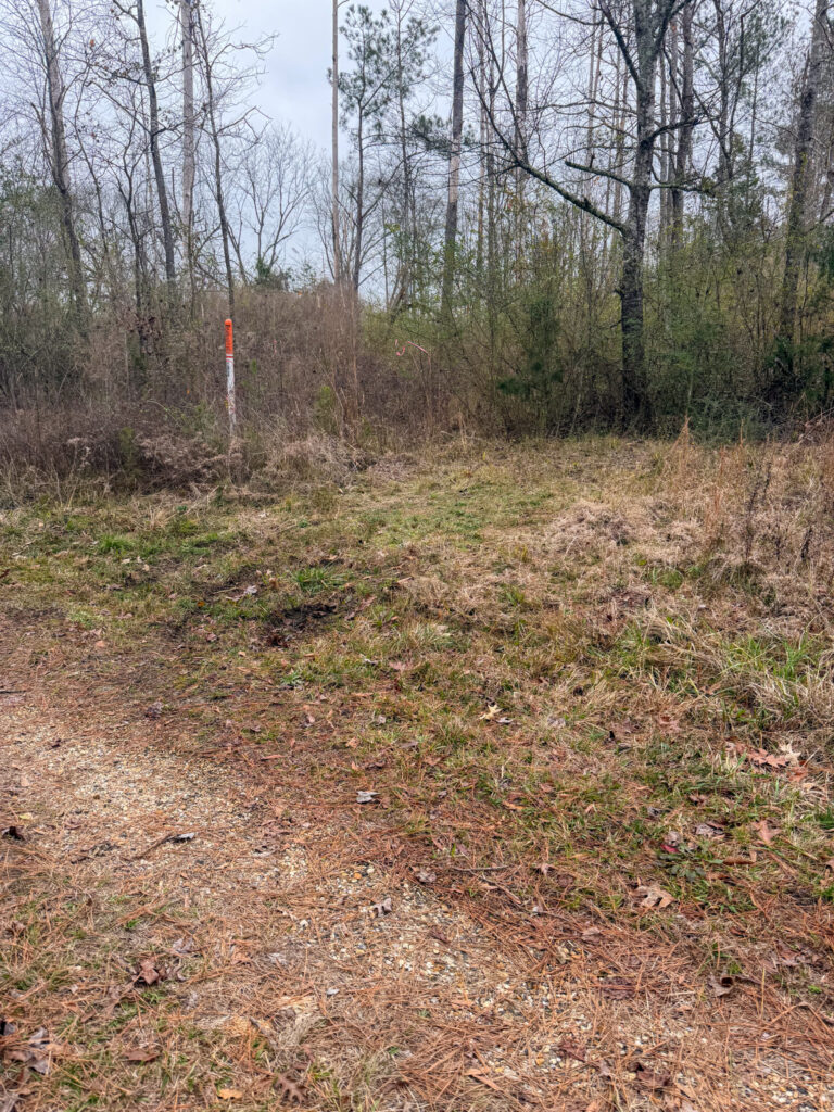 3.7± Acres in Braxton, MS – Easy Access off Highway 49