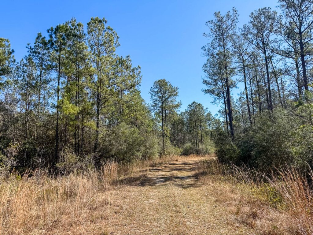 876 +/- acres Cable Bridge Road, Pass Christian, MS