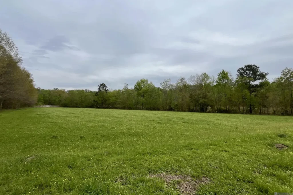 400 +/- acres Saint Amant, LA